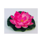 Small Water Lilly - Image 4
