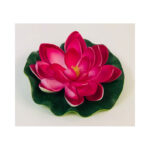 Small Water Lilly - Image 3