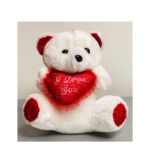 Teddy With A Heart