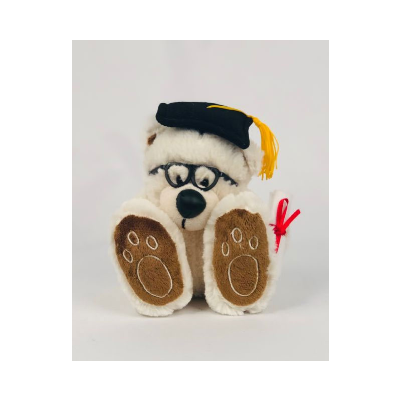 TED36 Graduation teddy bear - Image 1