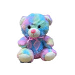 20cm Rainbow teddy bear