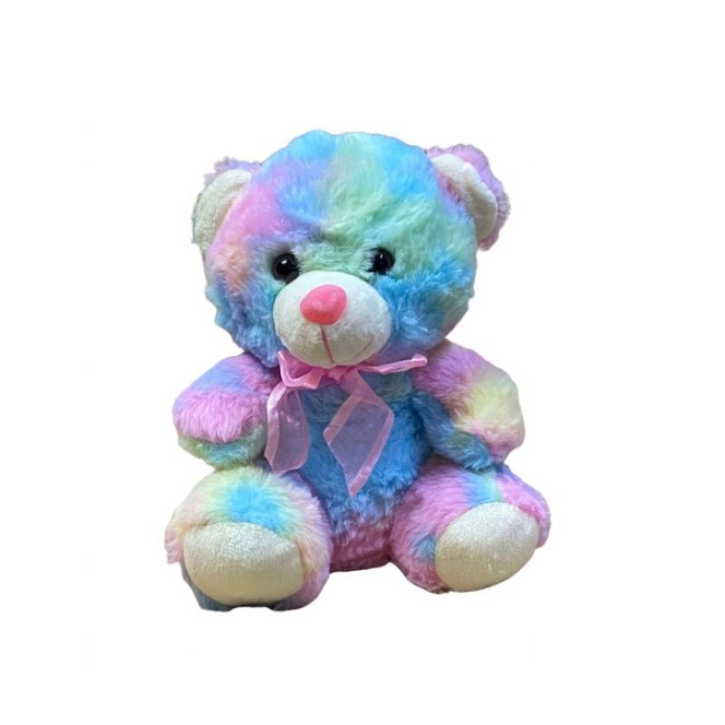 TED4 20cm Rainbow teddy bear - Image 1