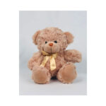 Scruffy teddy bear with bow