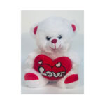 Teddy Bear With Love Heart