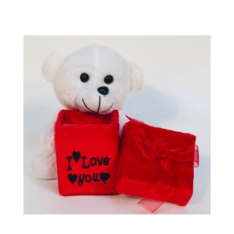 TED46 Teddy Holding A Square Box - Image 1