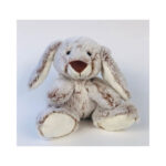 Sitting Rabbit With Big Ears