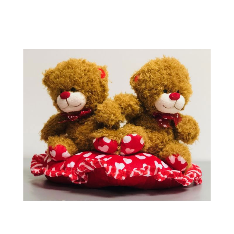 TED57 Scruffy Twin Teddies on Heart Pillow - Image 1