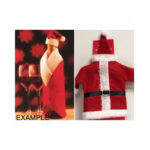 Santa bottle cover