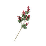 Berry stem