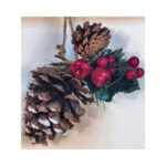 Pine Cone With Hanging Berries