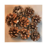 Glitter Pine Cones - Image 2