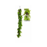 Conifer garland with cones